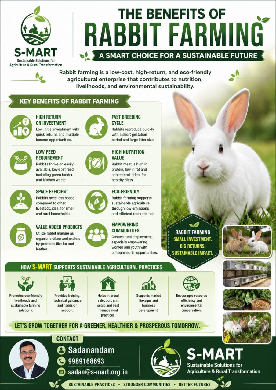 Rabbit Farming