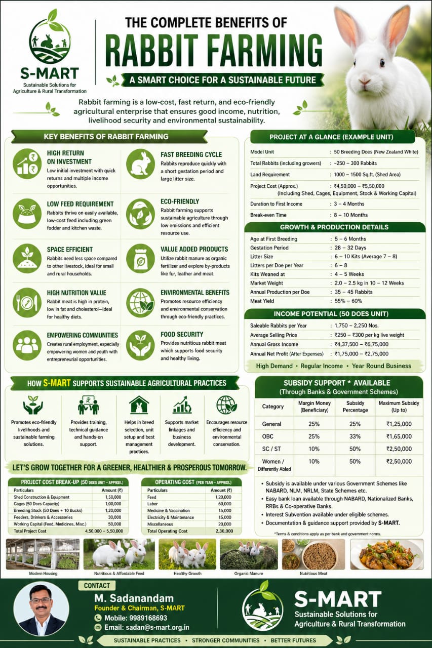 Rabbit Farming project